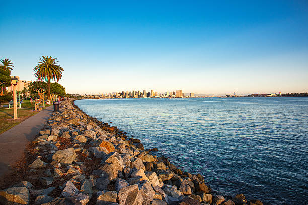 istock Wide Angle View of San Diego Bay 496316678