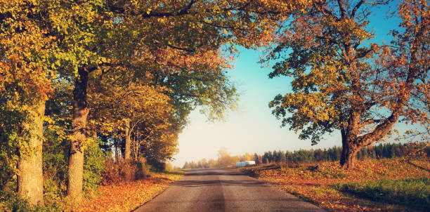 istock alley in autumn 496317392
