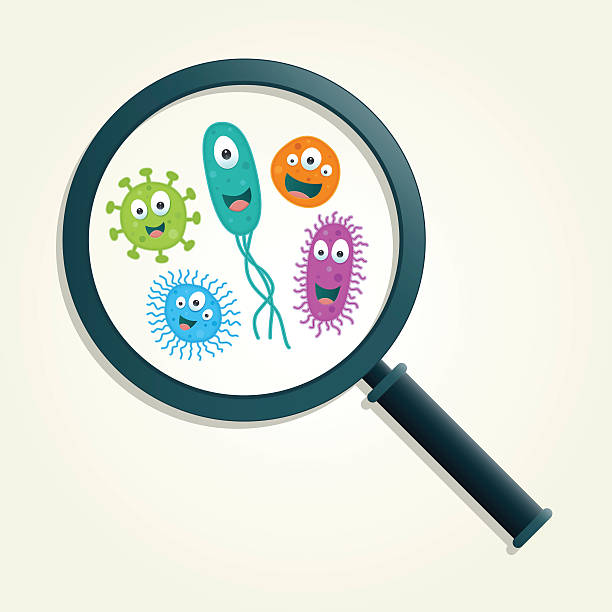 ilustrações, clipart, desenhos animados e ícones de colorido de microorganismos e lupa-ilustração vetorial - bacterium virus magnifying glass green