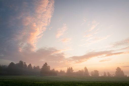 Misty meadow landscape at dawn