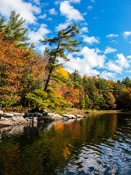 istock Scenic Autumn Colors Reflected in the water 496322052