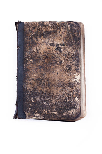 istock Old vintage tattered book lock with chain isolated white background 496322158