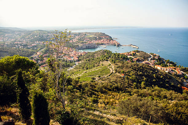 istock Collioure, United Kingdom 496322544
