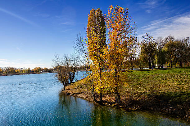 istock Trees along Lake in the autumn 496345200