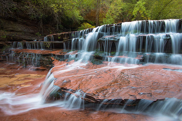 erzengel falls, zion national park, utah - zion narrows stock-fotos und bilder