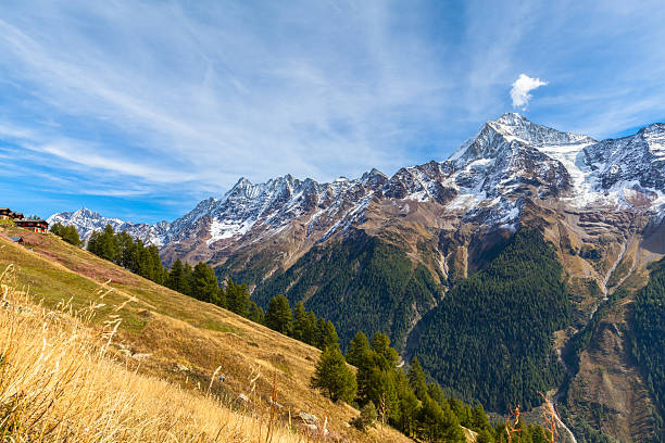 istock Panorama view of Loetschental Valley 496348814
