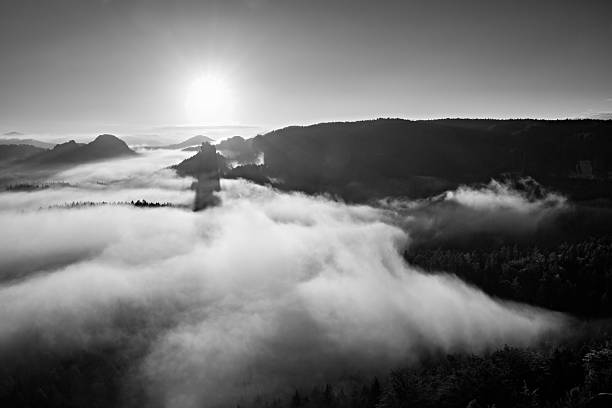 istock Fantastic colorful morning on rocky mountain. Misty valley. 496349220