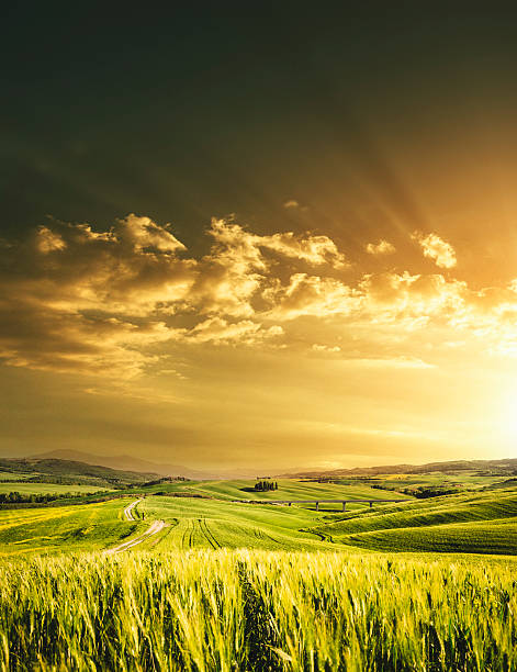 istock open spring meadow landscape in tuscany for spring 496349908