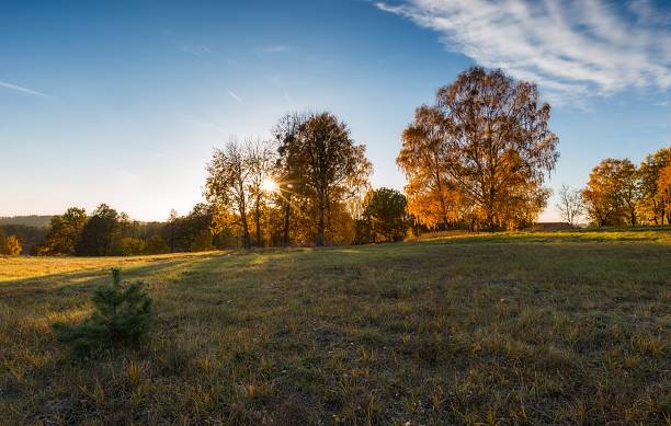istock Autumnal landscape with countryside at sunset 496351096