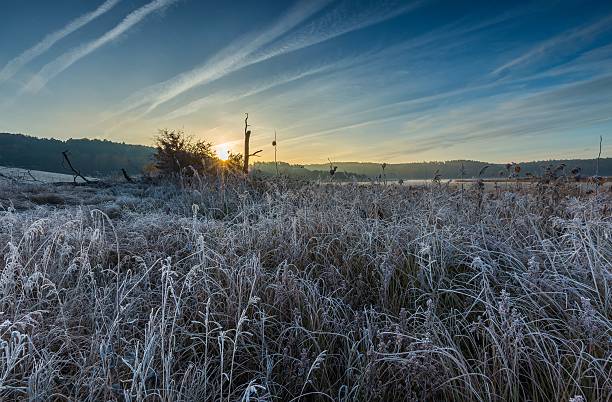 istock Autumnal cold morning on meadow with hoarfrost 496351208