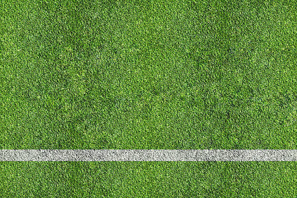 istock grass of sport field 496351821