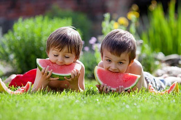 istock Two boys, eating watermelon in the garden, summertime 496352237