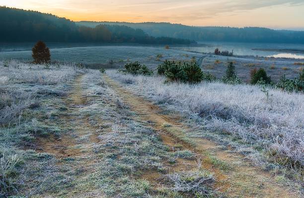 istock Autumnal frosty morning on meadow 496352432