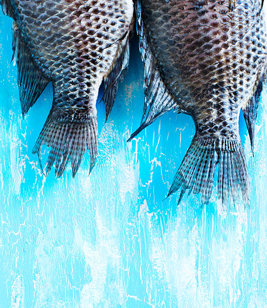 Tail Tilapia fish