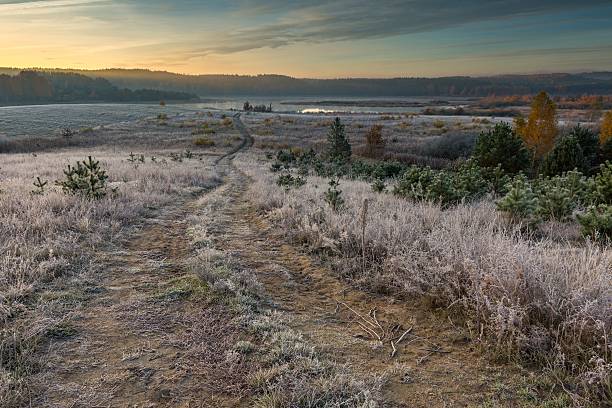 istock Autumnal frosty morning on meadow 496352586