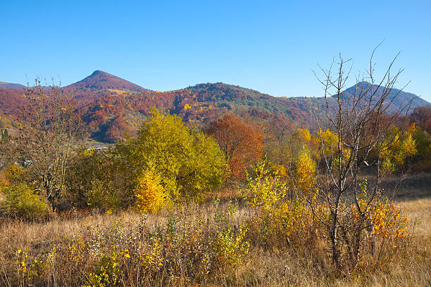 istock Autumn in Carpathian Mountains 496352948