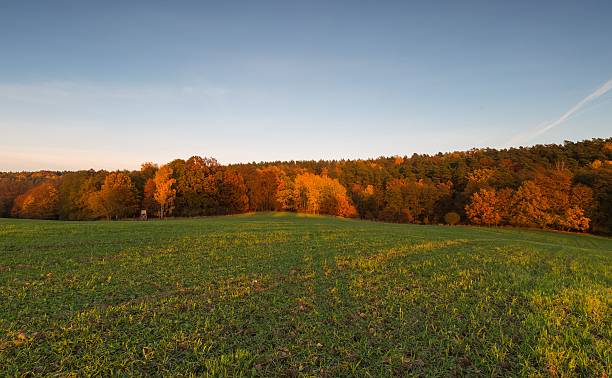 istock Beautiful autumnal sunset landscape 496353438