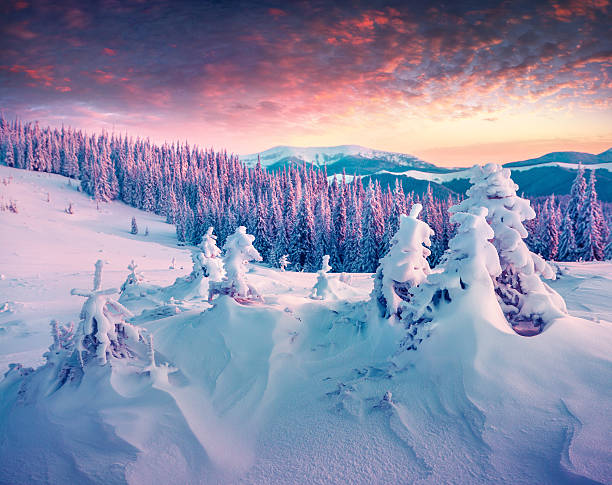 istock Colorful winter sunrise in the mountains. 496354316