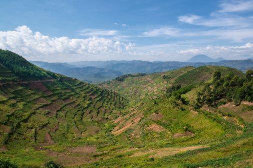 Tropical mountain valley and green vegetation. Mindanao, Phillippines.