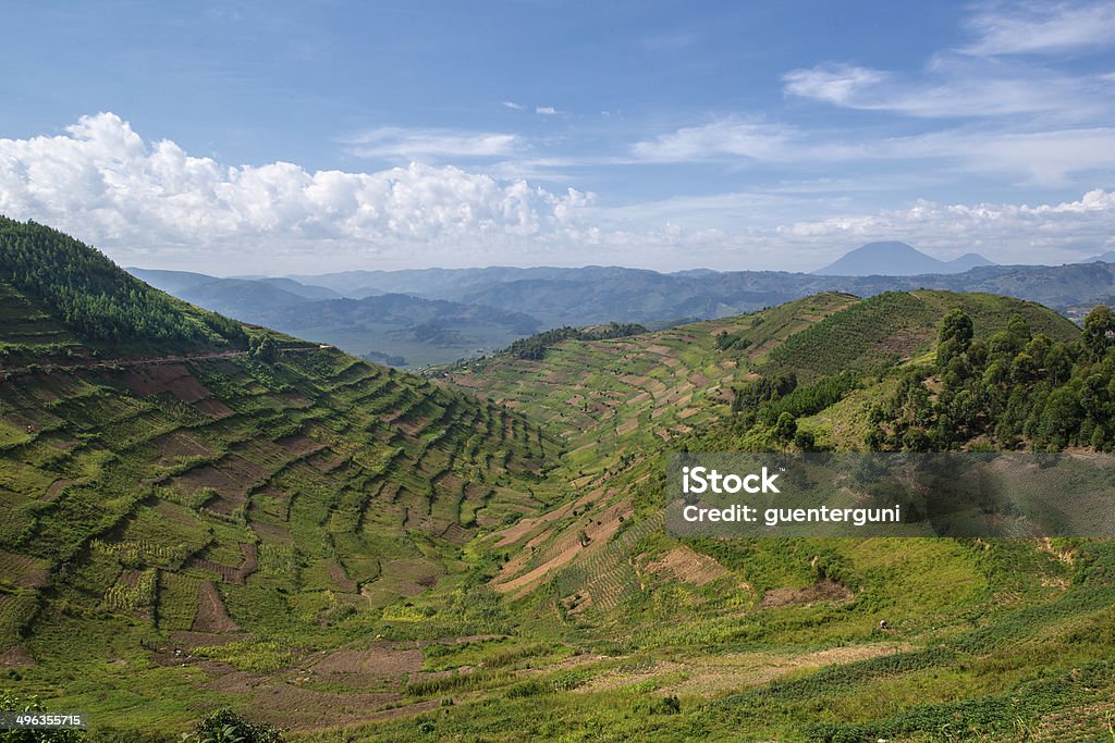 Paisagem típica no borderlands entre o Ruanda e o Uganda - Foto de stock de Ruanda royalty-free