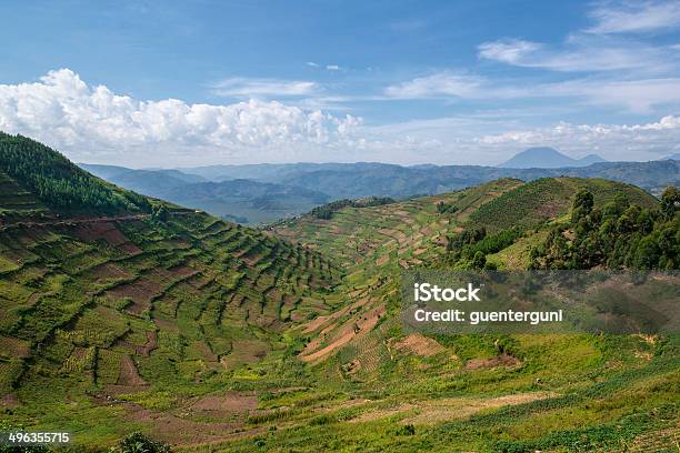 Foto de Paisagem Típica No Borderlands Entre O Ruanda E O Uganda e mais fotos de stock de Ruanda