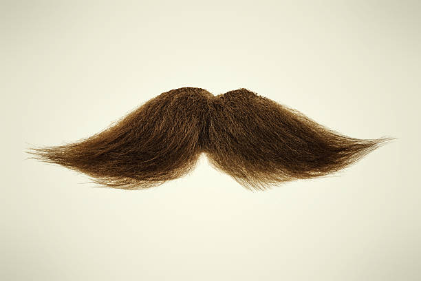 istock Brown mustache on a sepia background 496356019