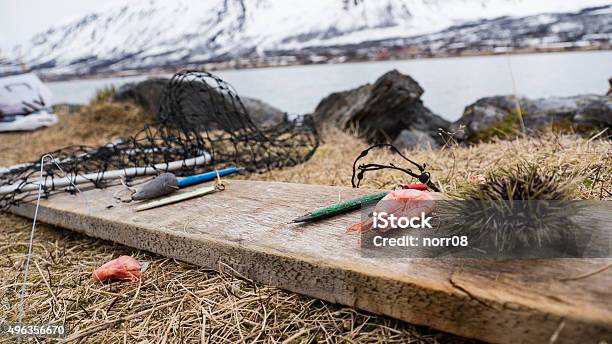 Fishing In Norway Stock Photo - Download Image Now - 2015, Activity, Adult