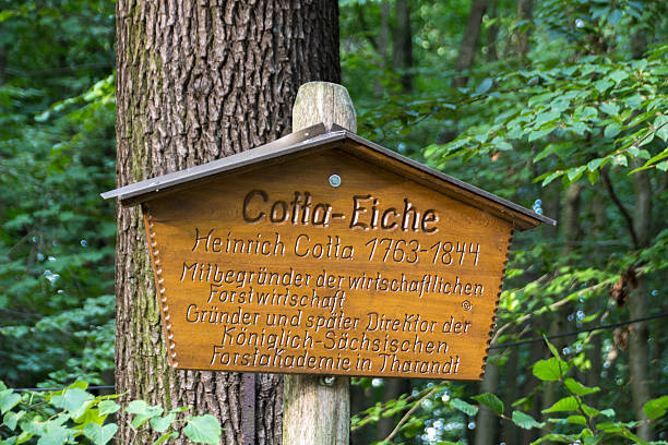 istock Sign in front of the Cotta-Eiche in Werdau, Germany, 2015 496358110