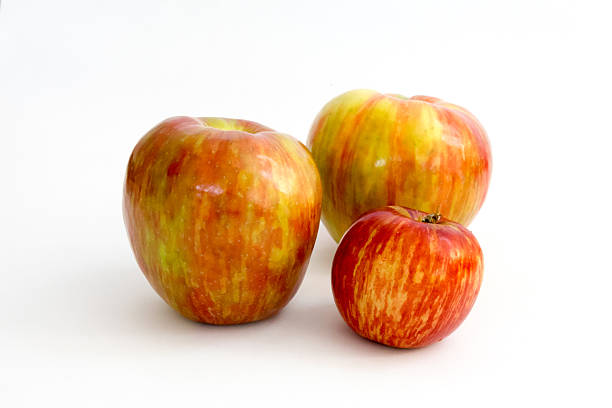due honeycrisp e jonathan apple contro bianco - jonathan apple foto e immagini stock