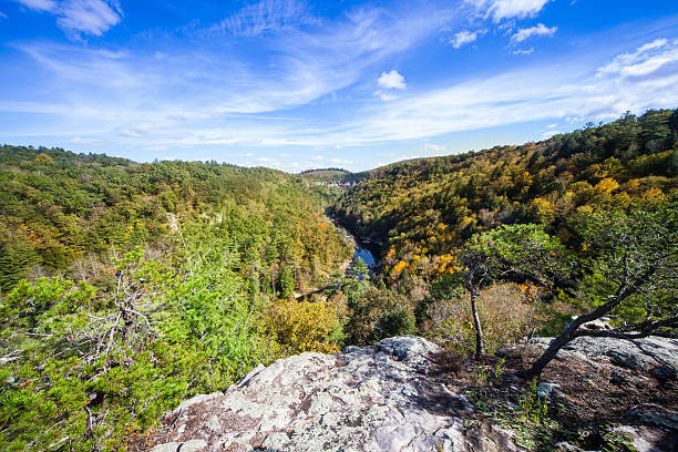 istock Lilly Bluff Overlook at Obed Wild and Scenic River 496359942