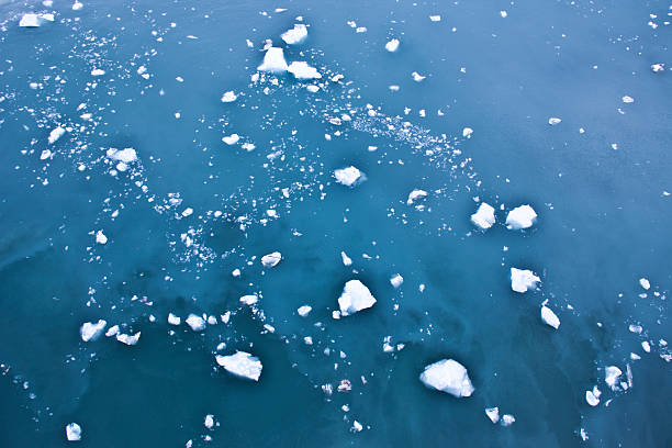 istock Sea Ice in Glacier Bay 496360056