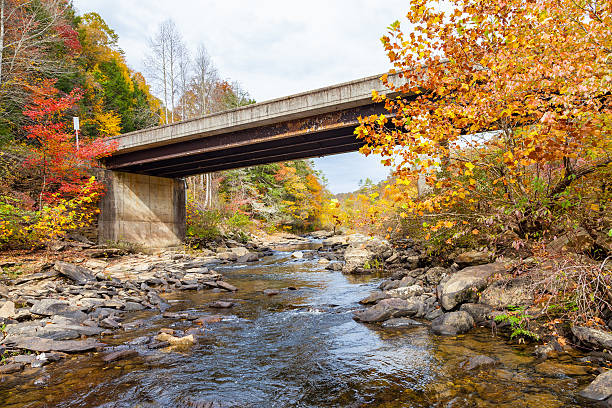 istock Lilly Bridge at Obed Wild and Scenic River 496360260