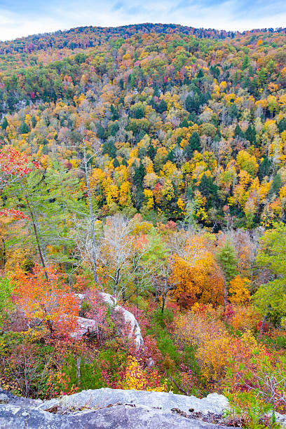 istock Point Trail at Obed Wild and Scenic River 496360348