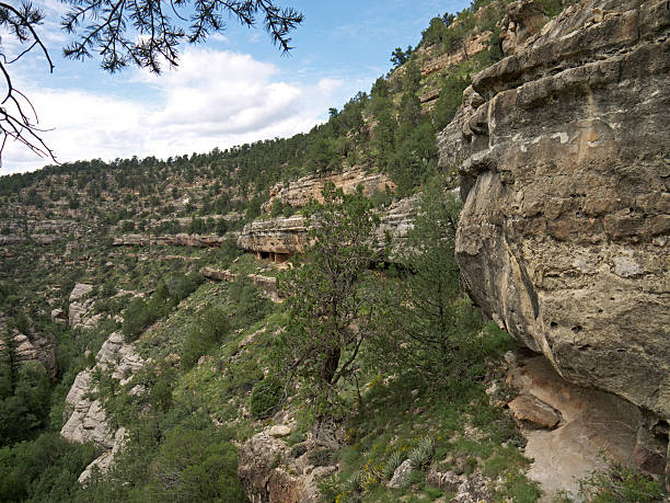 クルミのキャニオン - walnut canyon ruins ストックフォトと画像