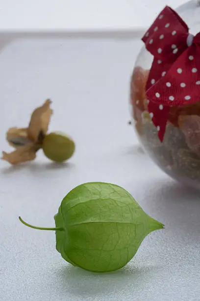 Macro detail image of Cape gooseberry on white background