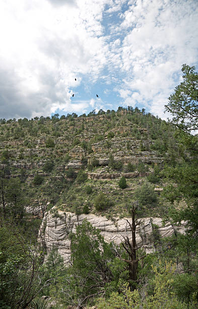 le walnut canyon - walnut canyon ruins photos et images de collection