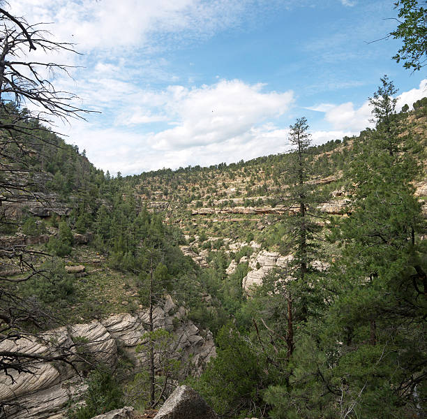 クルミのキャニオン - walnut canyon ruins ストックフォトと画像