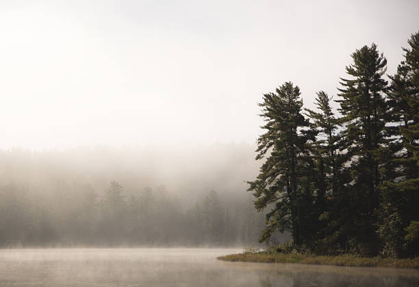 istock Morning Mist on Mew Lake 496377774