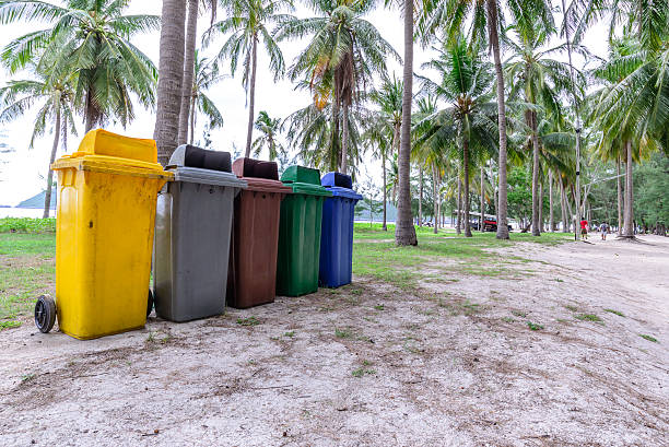 istock colorful trashcan at forest seaside. 496377810