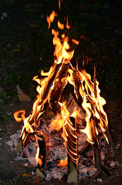 Bonfire lit on Lag Ba'Omer Jewish Holiday. Vertical