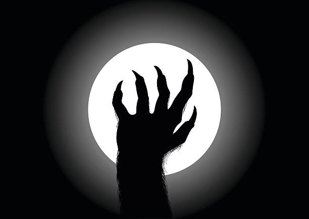 Werewolf Silhouette illustration of werewolf hand against the full moon animal finger stock illustrations