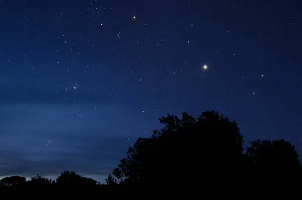 The Polaris star and night sky with trees skyline.