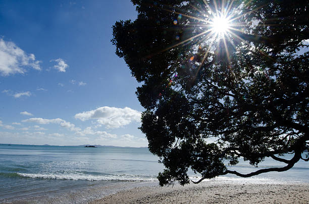 istock Wild landscape of Coopers Beach NZL 496379704
