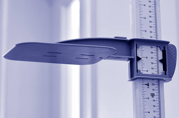 Stadiometer Stadiometer - human height measuring devices. close up. Concept photo of medical, lifestyle, height and growth. instrument of measurement stock pictures, royalty-free photos & images