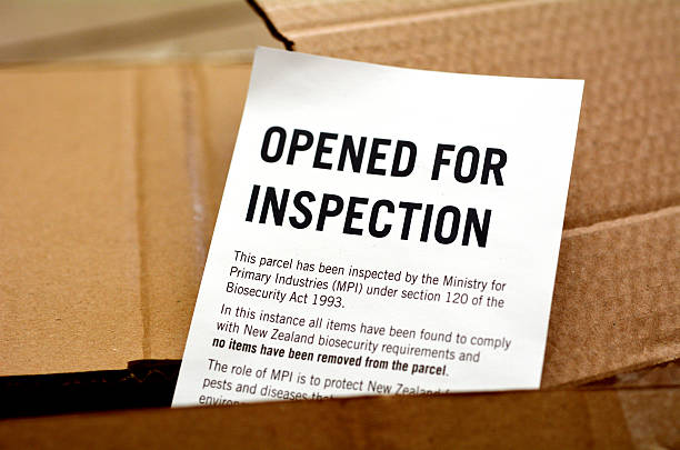 istock New Zealand Customs and Border Protection 496380040