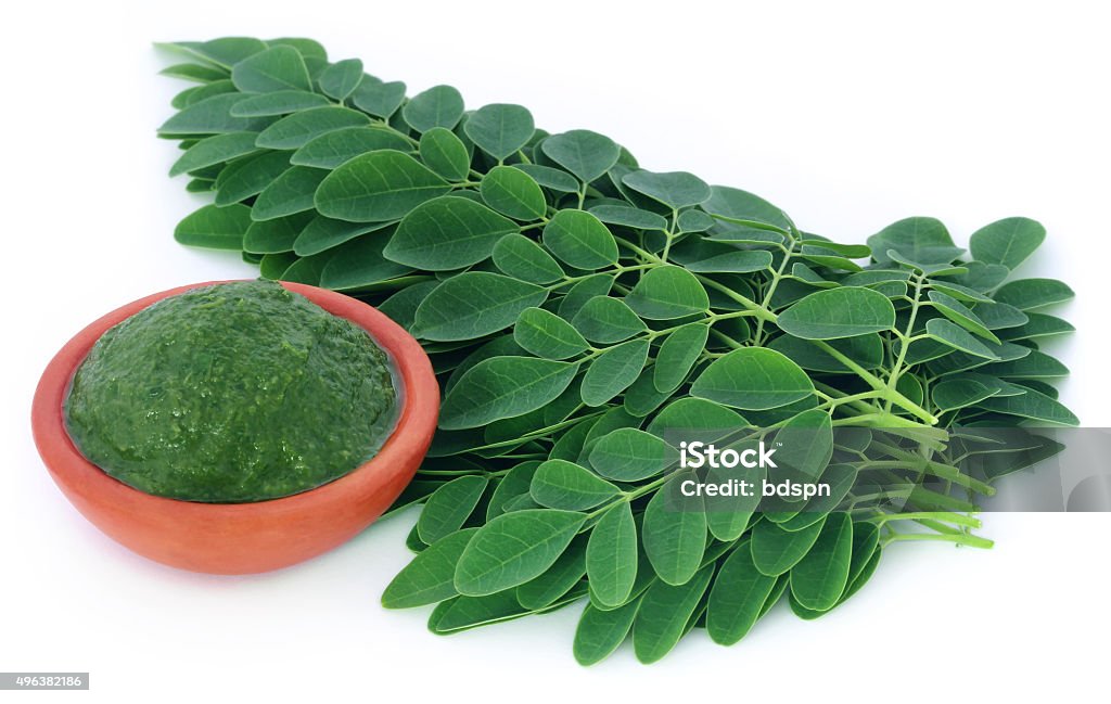 Moringa leaves Moringa leaves over white background 2015 Stock Photo