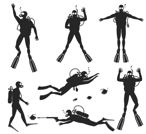 ilustrações de stock, clip art, desenhos animados e ícones de silhuetas de mergulhador. silhuetas de mergulho sobre fundo branco - silhouette swimming action adult