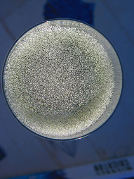 istock Champagne Bubbles in glass 496386292