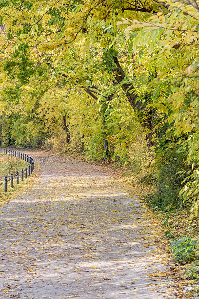 istock autumn view of trail on the riverside 496386554