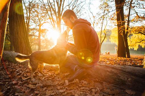 side view: young caucasian man strokes his small Mixed-breed dog in autumn forest